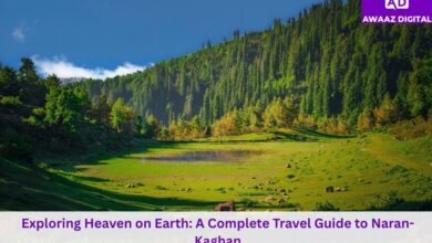Exploring Heaven on Earth: A Complete Travel Guide to Naran-Kaghan