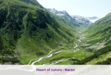 Heart of nature : Naran