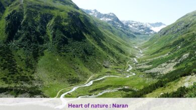 Heart of nature : Naran