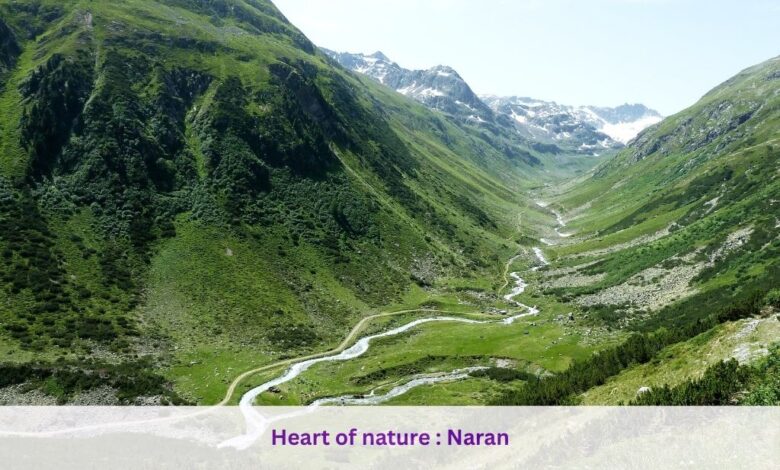 Heart of nature : Naran