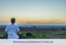  Mindfulness and Meditation in Daily Life