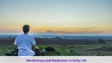  Mindfulness and Meditation in Daily Life