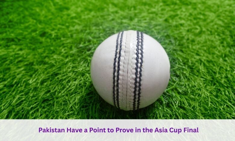 Asia Cup 2025 India vs Pakistan Final