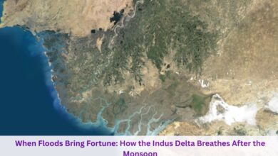 Indus Delta