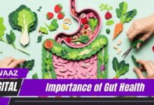 Importance of Gut Health