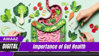 Importance of Gut Health