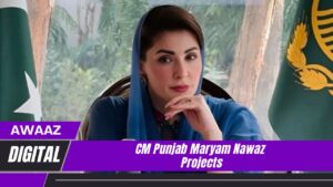 CM Punjab Maryam Nawaz projects